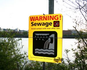 sewage.png
