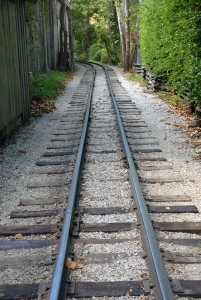 track2.jpg